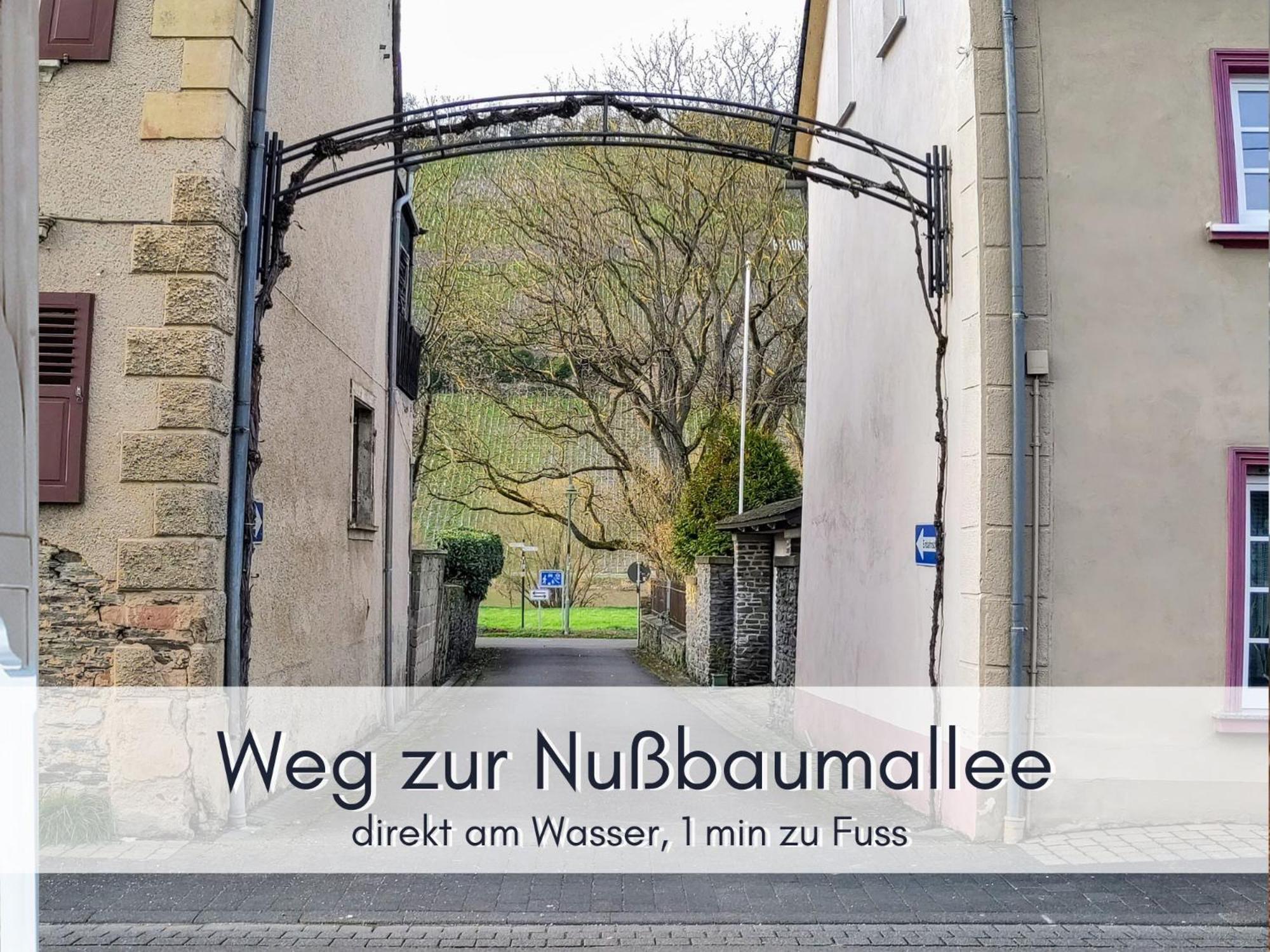 Komfort Fewo L Moselstay L Maximal 4 Personen Und Baby I Brauneberg Mosel I Wifi I Exterior photo
